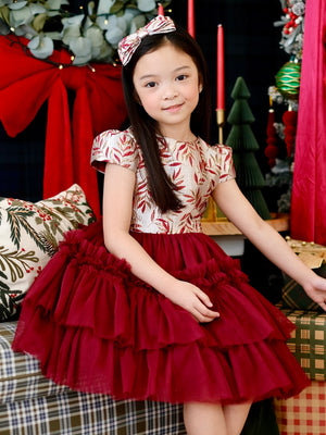 Iveline Mini Dress in Marsala