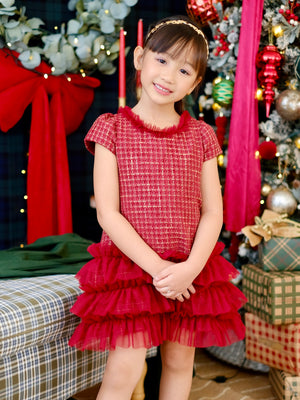 Jacquette Dress in Burgundy Tweed