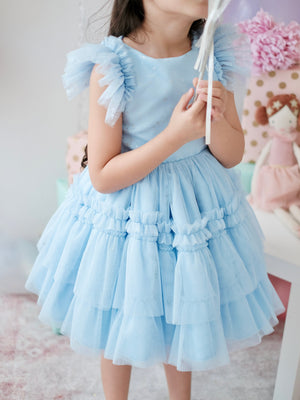 Charlotte Tutu Dress