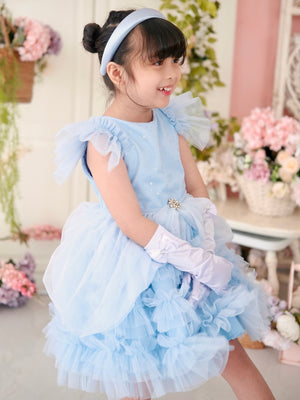 Charlotte Tutu Dress + Tie-on Princess Bustle