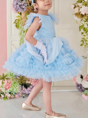 Charlotte Tutu Dress + Tie-on Princess Bustle