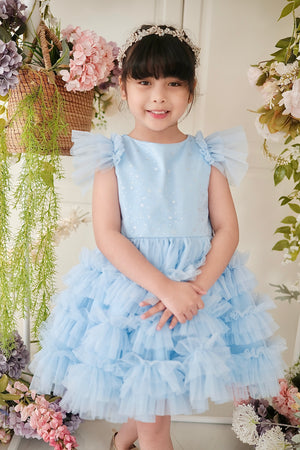 Charlotte Tutu Dress + Tie-on Princess Bustle