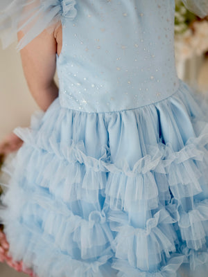 Charlotte Tutu Dress + Tie-on Princess Bustle