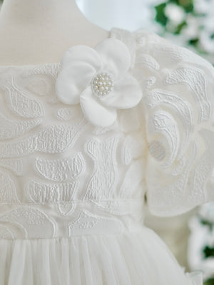 Pascalle Jacquard Midi Dress