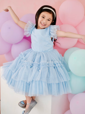 Charlotte Tutu Dress