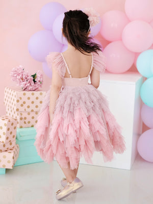 Laurette Tutu | Dusty Pink Ombre V2