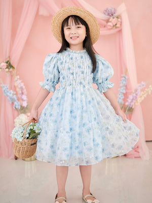 Eloise Dress