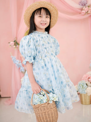 Eloise Dress