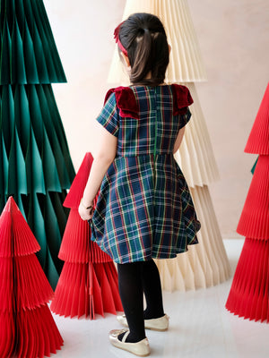 Chelsea Dress in Plaid