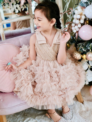 Clara Tutu Dress Champagne