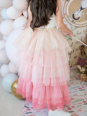 Minnie Tutu Skirt | Pink Ombre | Pre-order