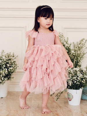 Lyra Tutu Dress | Dusty Pink