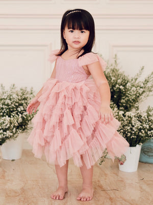 Lyra Tutu Dress | Dusty Pink