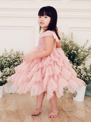 Lyra Tutu Dress | Dusty Pink